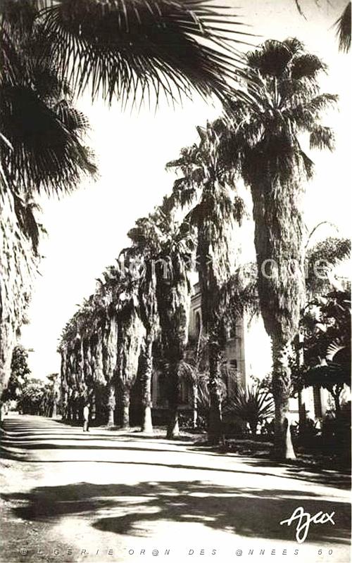 ALGER - MAISON-CARREE - Ecole Nationale d'Agriculture (10).jpg